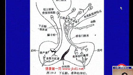 生理学-四川大学